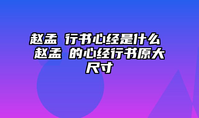 赵孟頫行书心经是什么 赵孟頫的心经行书原大尺寸