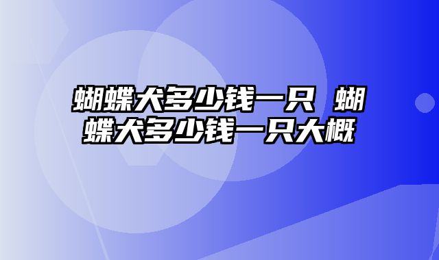 蝴蝶犬多少钱一只 蝴蝶犬多少钱一只大概