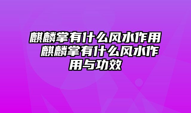 麒麟掌有什么风水作用 麒麟掌有什么风水作用与功效