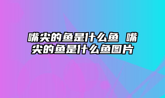 嘴尖的鱼是什么鱼 嘴尖的鱼是什么鱼图片