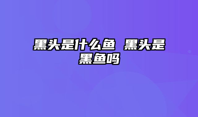 黑头是什么鱼 黑头是黑鱼吗