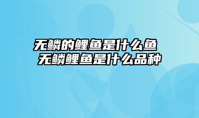 无鳞的鲤鱼是什么鱼 无鳞鲤鱼是什么品种