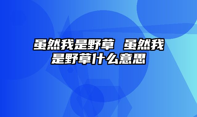 虽然我是野草 虽然我是野草什么意思