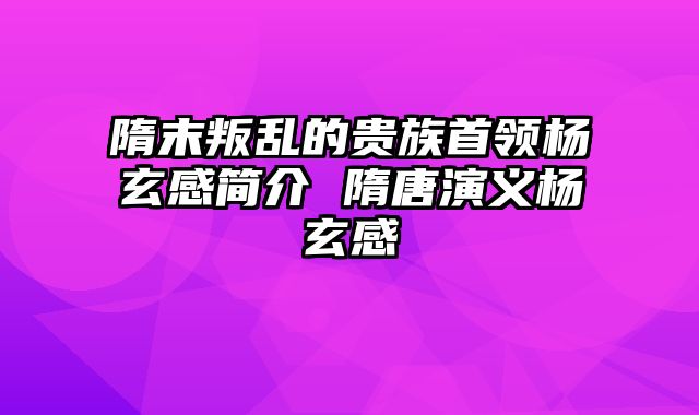 隋末叛乱的贵族首领杨玄感简介 隋唐演义杨玄感