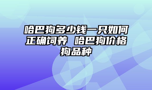 哈巴狗多少钱一只如何正确饲养 哈巴狗价格狗品种