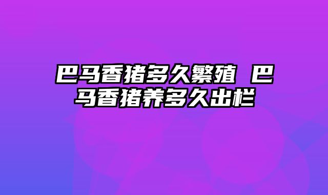 巴马香猪多久繁殖 巴马香猪养多久出栏