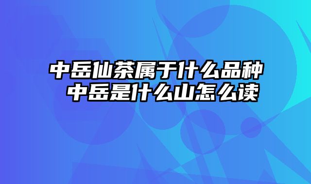 中岳仙茶属于什么品种 中岳是什么山怎么读