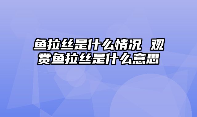 鱼拉丝是什么情况 观赏鱼拉丝是什么意思