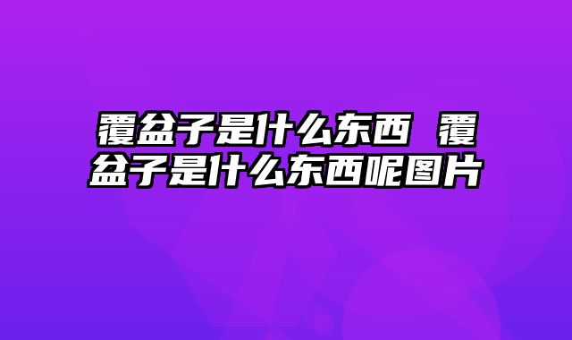 覆盆子是什么东西 覆盆子是什么东西呢图片