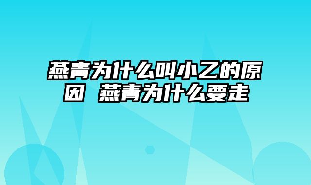 燕青为什么叫小乙的原因 燕青为什么要走