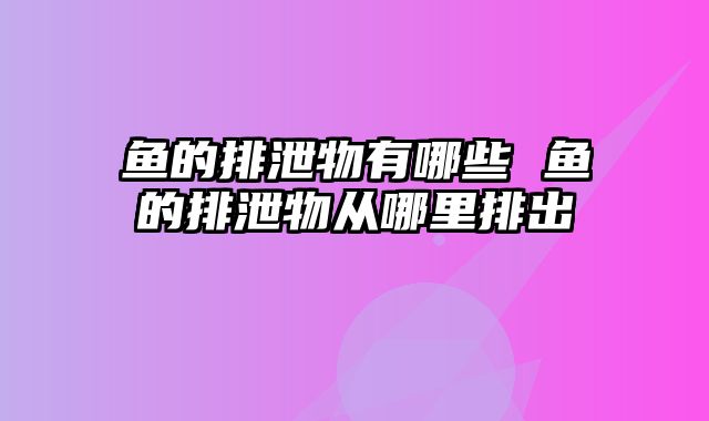 鱼的排泄物有哪些 鱼的排泄物从哪里排出