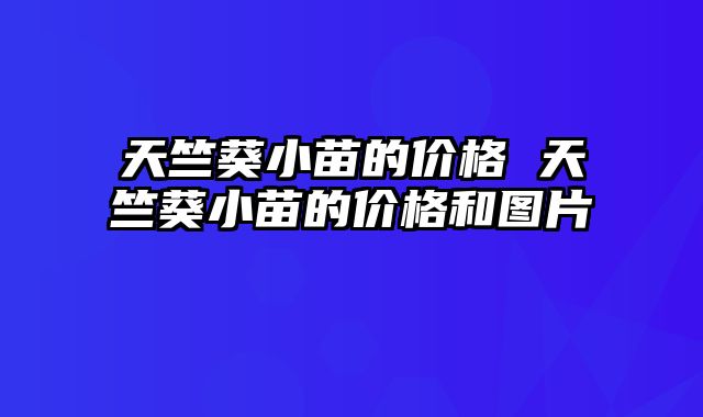 天竺葵小苗的价格 天竺葵小苗的价格和图片