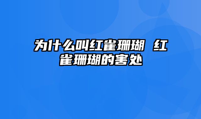 为什么叫红雀珊瑚 红雀珊瑚的害处