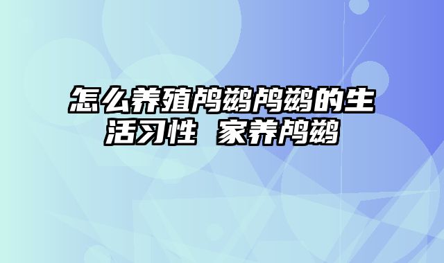 怎么养殖鸬鹚鸬鹚的生活习性 家养鸬鹚