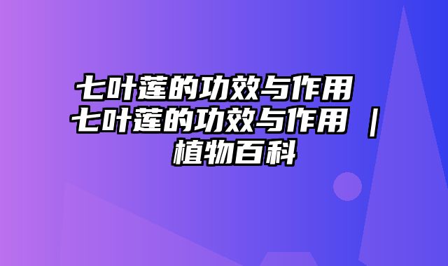 七叶莲的功效与作用 七叶莲的功效与作用 | 植物百科