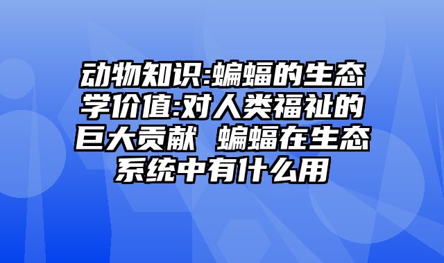 动物知识:蝙蝠的生态学价值:对人类福祉的巨大贡献 蝙蝠在生态系统中有什么用