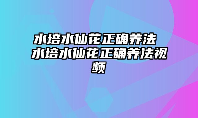 水培水仙花正确养法 水培水仙花正确养法视频