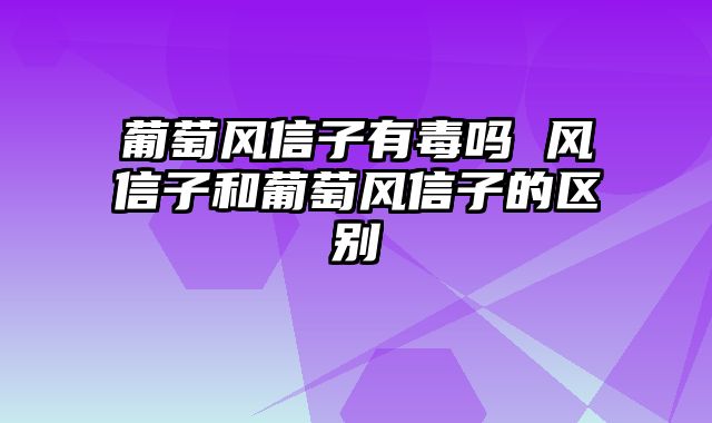 葡萄风信子有毒吗 风信子和葡萄风信子的区别