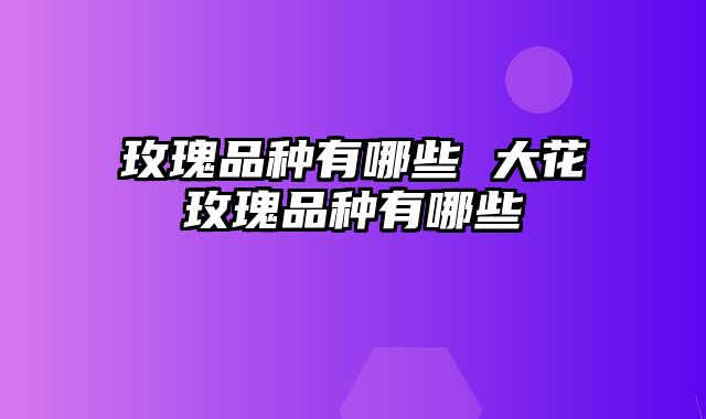 玫瑰品种有哪些 大花玫瑰品种有哪些