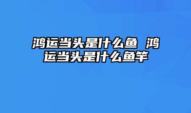 鸿运当头是什么鱼 鸿运当头是什么鱼竿