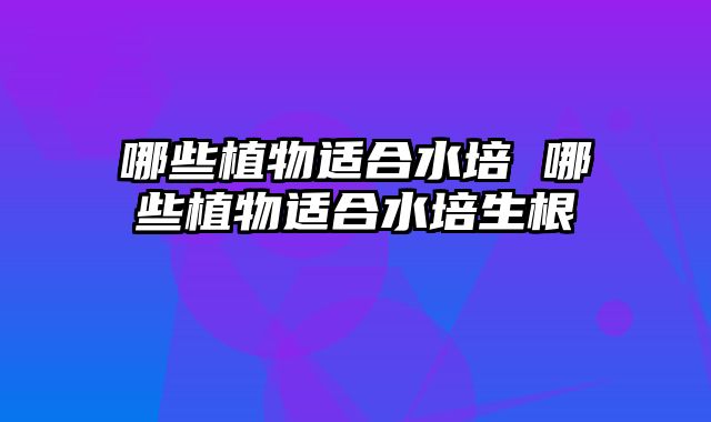 哪些植物适合水培 哪些植物适合水培生根