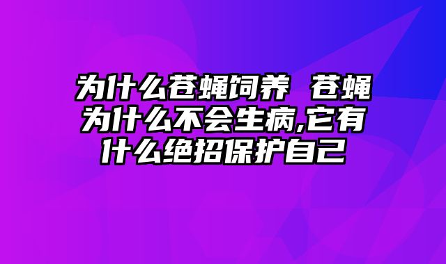 为什么苍蝇饲养 苍蝇为什么不会生病,它有什么绝招保护自己