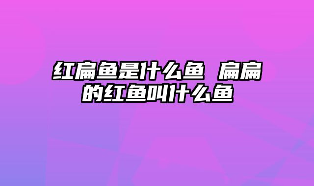 红扁鱼是什么鱼 扁扁的红鱼叫什么鱼