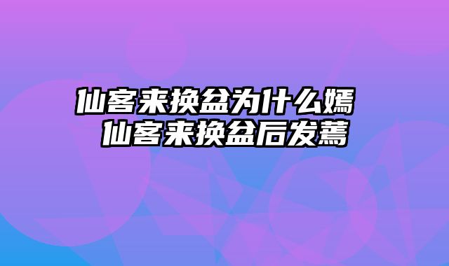 仙客来换盆为什么嫣 仙客来换盆后发蔫