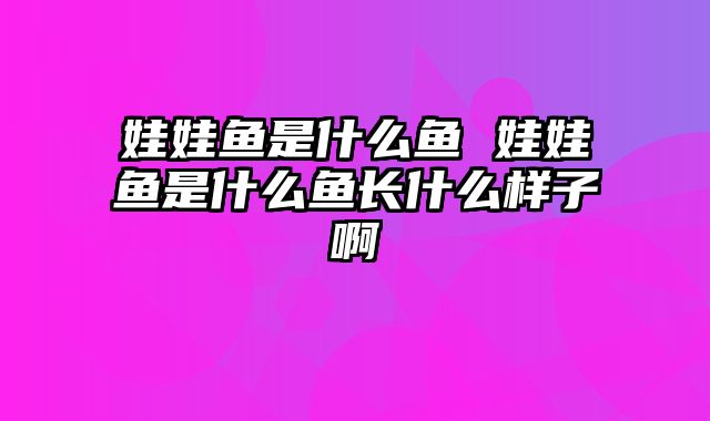 娃娃鱼是什么鱼 娃娃鱼是什么鱼长什么样子啊