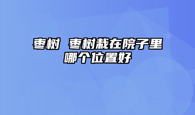 枣树 枣树栽在院子里哪个位置好