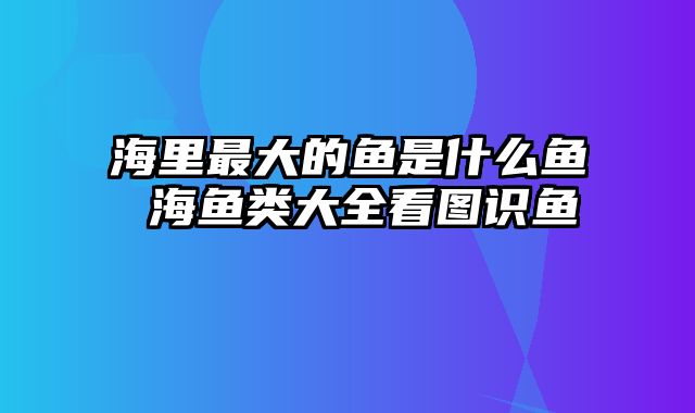 海里最大的鱼是什么鱼 海鱼类大全看图识鱼