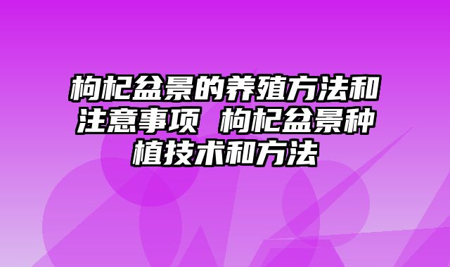 枸杞盆景的养殖方法和注意事项 枸杞盆景种植技术和方法