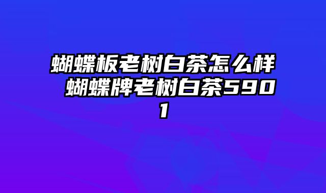 蝴蝶板老树白茶怎么样 蝴蝶牌老树白茶5901