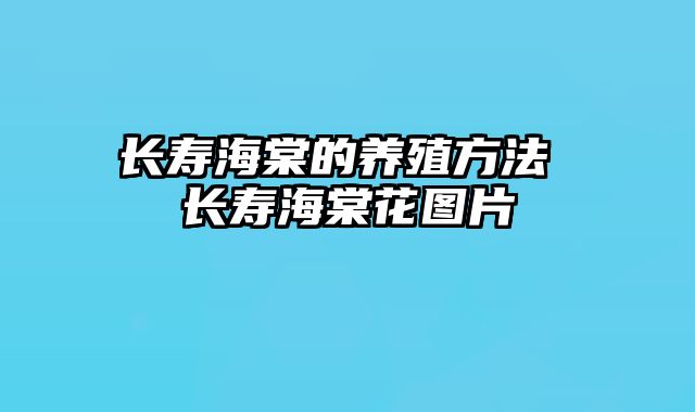 长寿海棠的养殖方法 长寿海棠花图片