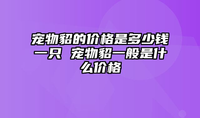 宠物貂的价格是多少钱一只 宠物貂一般是什么价格