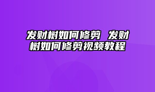 发财树如何修剪 发财树如何修剪视频教程