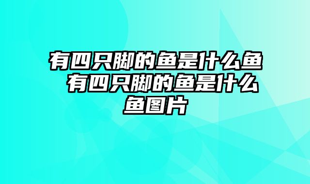 有四只脚的鱼是什么鱼 有四只脚的鱼是什么鱼图片