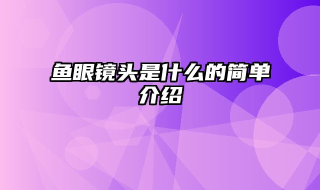 鱼眼镜头是什么的简单介绍