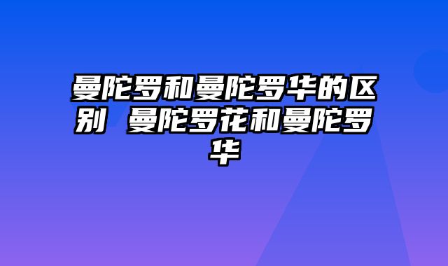 曼陀罗和曼陀罗华的区别 曼陀罗花和曼陀罗华