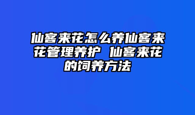 仙客来花怎么养仙客来花管理养护 仙客来花的饲养方法