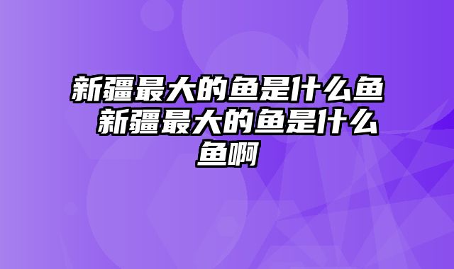 新疆最大的鱼是什么鱼 新疆最大的鱼是什么鱼啊