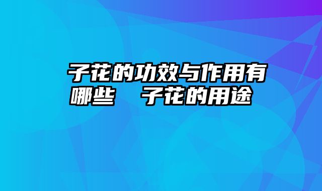 枙子花的功效与作用有哪些 枙子花的用途