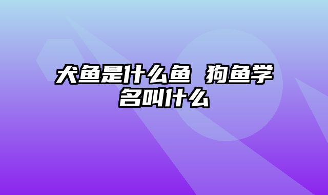 犬鱼是什么鱼 狗鱼学名叫什么