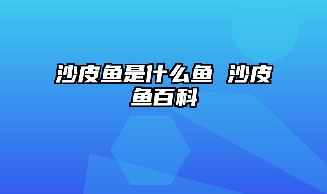 沙皮鱼是什么鱼 沙皮鱼百科