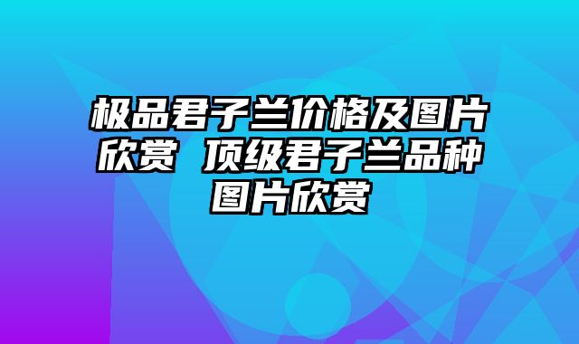 极品君子兰价格及图片欣赏 顶级君子兰品种图片欣赏