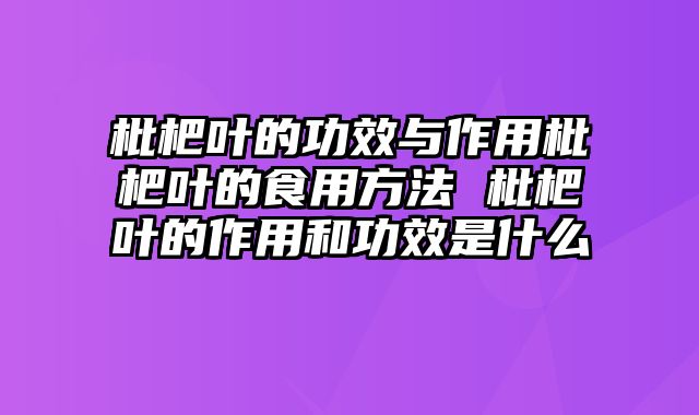 枇杷叶的功效与作用枇杷叶的食用方法 枇杷叶的作用和功效是什么