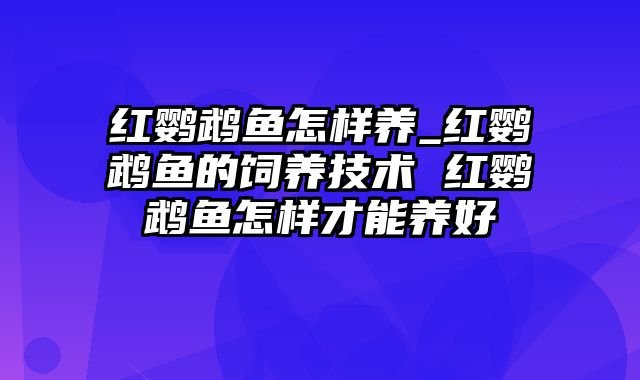 红鹦鹉鱼怎样养_红鹦鹉鱼的饲养技术 红鹦鹉鱼怎样才能养好