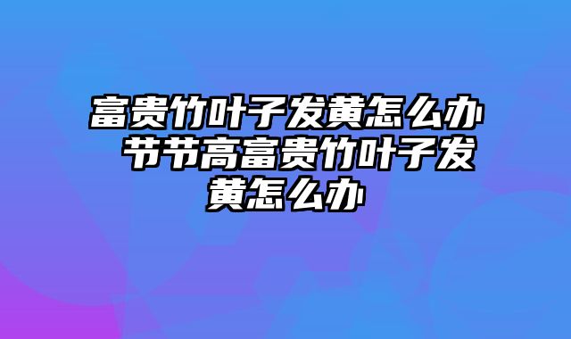 富贵竹叶子发黄怎么办 节节高富贵竹叶子发黄怎么办