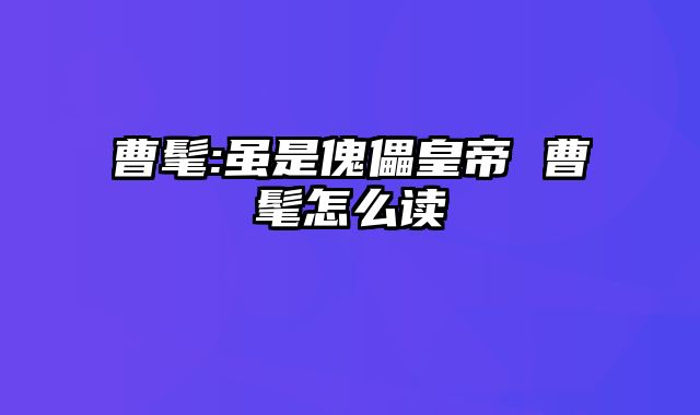 曹髦:虽是傀儡皇帝 曹髦怎么读