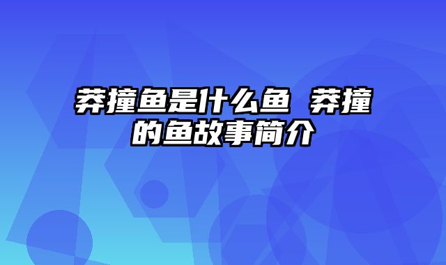 莽撞鱼是什么鱼 莽撞的鱼故事简介